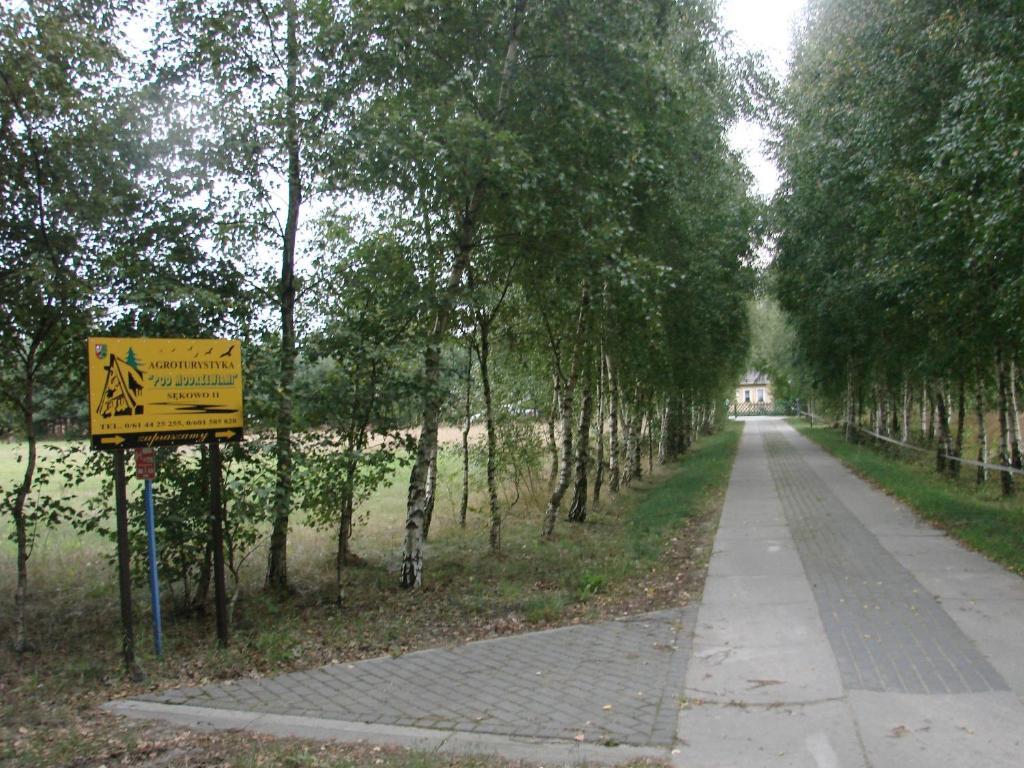 Agroturystyka Pod Modrzewiami Nowy Tomysl Luaran gambar