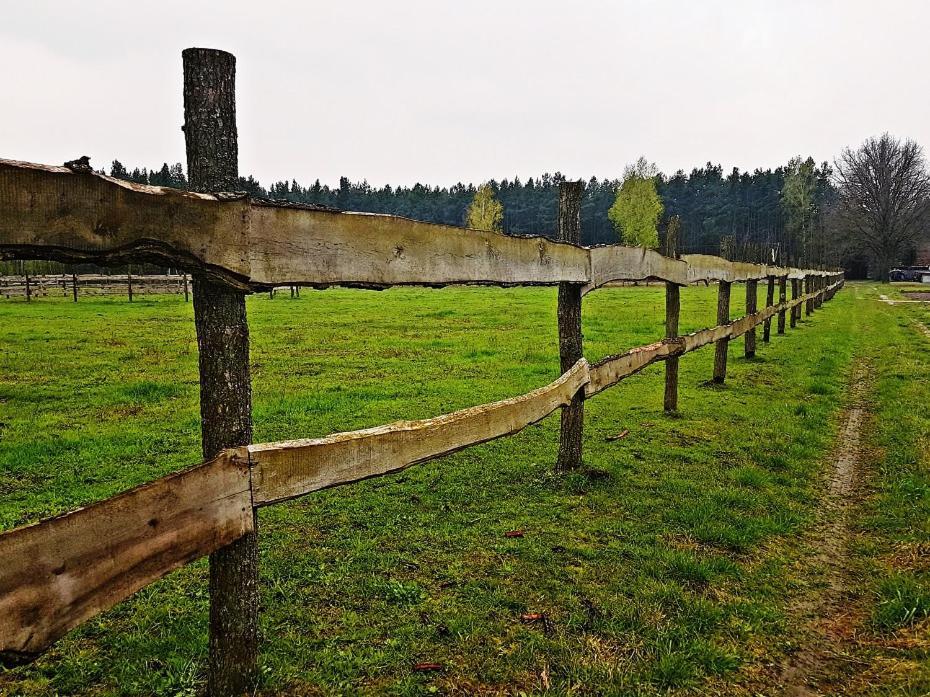 Agroturystyka Pod Modrzewiami Nowy Tomysl Luaran gambar