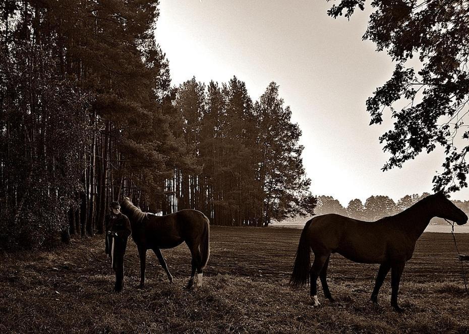 Agroturystyka Pod Modrzewiami Nowy Tomysl Luaran gambar
